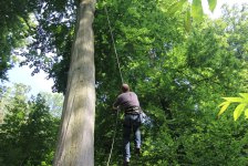 53_gc_stammtisch_23_20150506